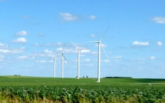 Sustainable Thanksgiving: A Wish for Bounty | The Huffington Post Sustainable Thanksgiving: A Wish for Bounty