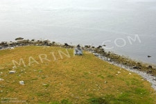     		Picture of Stoddart Island | AIS Marine Traffic    	