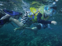  하나투어 :: 1등 여행사 (주)하나투어 