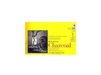 Strathmore 300 Series Charcoal Paper Pads 11 in. x 17 in. 32 sheets  [Pack of 2]-Newegg.com