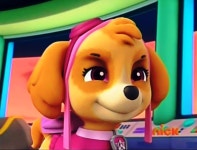 Skye - PAW Patrol Fan Art (40173043) - Fanpop PAW Patrol Fan Art: Skye