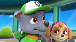 Rocky - PAW Patrol Photo (40263410) - Fanpop PAW Patrol Photo: Rocky