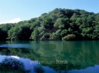 Trees reflected on water surface, Cape Sugo, Aomori prefecture, Japan 이미지 (102756277) - 게티이미지뱅크 Trees reflected on... 