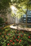 Geraniums blooming in Bowling Green Park, New York City 이미지 (86539238) - 게티이미지뱅크 Geraniums blooming in Bowling... 