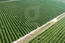 Aerial view of farmland 이미지 (86504390) - 게티이미지뱅크 Aerial view of farmland