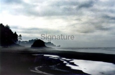 케이피라인2(kpLine2) | shoreline 이미지 (93157739) - 게티이미지뱅크 shoreline