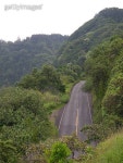ROAD TO HANA 이미지 (139088235) - 게티이미지뱅크 ROAD TO HANA