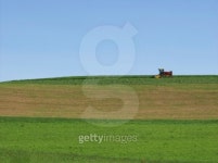 field work 이미지 (136256333) - 게티이미지뱅크 field work