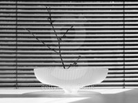 glass bowl #6 이미지 (136256529) - 게티이미지뱅크 glass bowl #6