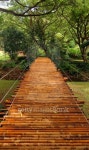 Bamboo Bridge 이미지 (92230643) - 게티이미지뱅크 Bamboo Bridge