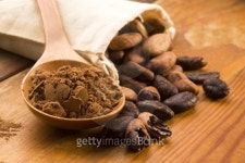 Cocoa (cacao) beans on natural wooden table 이미지 (169262347) - 게티이미지뱅크 Cocoa (cacao) beans on natural wooden table