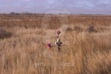 십자로 공인계량소 | Roadside cross 이미지 (139266268) - 게티이미지뱅크 Roadside cross