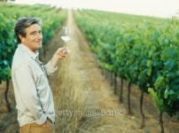 side profile of a mid adult man holding a glass of white wine in a vineyard 이미지 (stk305015rkn) - 게티이미지뱅크 side... 