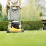 Close-up low section of woman cutting grass with lawn mower 이미지 (skd274169sdc) - 게티이미지뱅크 Close-up low section of... 