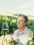 mature man holding a drink in a vineyard 이미지 (stk305013rkn) - 게티이미지뱅크 mature man holding a drink in a vineyard
