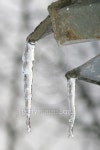 Two Icicles 이미지 (139405835) - 게티이미지뱅크 Two Icicles
