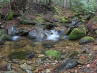 South Fork Flower Creek #6 이미지 (92694772) - 게티이미지뱅크 South Fork Flower Creek #6