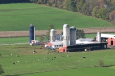 dairy farm 이미지 (175999820) - 게티이미지뱅크 dairy farm