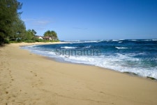 Blue Seas and Sky, Sandy Beach - Kauai, Hawaii 이미지 (95290495) - 게티이미지뱅크 Blue Seas and Sky, Sandy Beach - Kauai, Hawaii