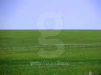 Green Field Blue Sky 이미지 (139537352) - 게티이미지뱅크 Green Field Blue Sky