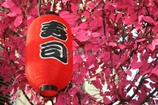 sushi lantern 이미지 (115868521) - 게티이미지뱅크 sushi lantern