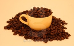Coffee bean cup 이미지 (139388113) - 게티이미지뱅크 Coffee bean cup