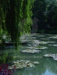 Monets Water Lily Pond 5 이미지 (90656448) - 게티이미지뱅크 Monets Water Lily Pond 5