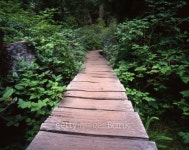 Cape Flattery, Washington 이미지 (139545266) - 게티이미지뱅크 Cape Flattery, Washington