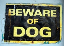 urban decay - beware of dog 이미지 (92879934) - 게티이미지뱅크 urban decay - beware of dog