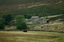 Houses made of stone in the Derbyshire moors 이미지 (90166790) - 게티이미지뱅크 Houses made of stone in the Derbyshire moors