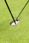 Golfcourse 이미지 (139907171) - 게티이미지뱅크 Golfcourse