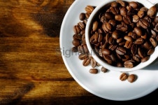 cup filled with roasted coffee beans on oak table 이미지 (113236122) - 게티이미지뱅크 cup filled with roasted coffee beans on... 