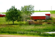 Farming Industry 이미지 (93691897) - 게티이미지뱅크 Farming Industry