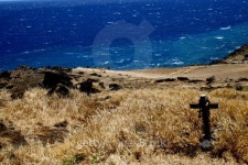 Lost on the road to Hana 이미지 (139982613) - 게티이미지뱅크 Lost on the road to Hana