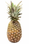 Pineapple 이미지 (92167274) - 게티이미지뱅크 Pineapple