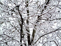 snow abstract I 이미지 (140236848) - 게티이미지뱅크 snow abstract I
