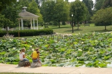 Gazebo and Lily Pond 이미지 (136019715) - 게티이미지뱅크 Gazebo and Lily Pond