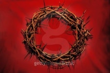Crown of Thorns 이미지 (176863643) - 게티이미지뱅크 Crown of Thorns