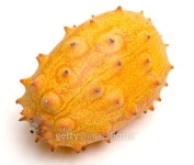 Kiwano Melon 이미지 (115685314) - 게티이미지뱅크 Kiwano Melon