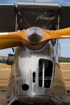 Tigermoth Front 이미지 (139875263) - 게티이미지뱅크 Tigermoth Front