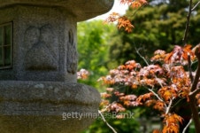 japanese tea garden 이미지 (90848430) - 게티이미지뱅크 japanese tea garden