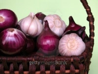 onion and garlic 이미지 (93583746) - 게티이미지뱅크 onion and garlic