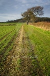 Straight Path 이미지 (139872738) - 게티이미지뱅크 Straight Path