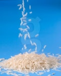 Grains falling on a pile of uncooked white Rice 이미지 (139875782) - 게티이미지뱅크 Grains falling on a pile of uncooked white... 