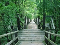 Mt Baldhead Stairs in Saugetuck, Michigan 이미지 (139968527) - 게티이미지뱅크 Mt Baldhead Stairs in Saugetuck, Michigan