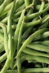 String Beans 이미지 (182160302) - 게티이미지뱅크 String Beans
