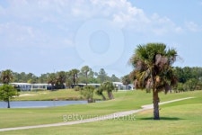 Tropical Golf Course2 이미지 (93098673) - 게티이미지뱅크 Tropical Golf Course2