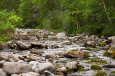 Northern mountain river 이미지 (93562288) - 게티이미지뱅크 Northern mountain river