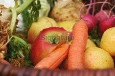 bio food 이미지 (90813884) - 게티이미지뱅크 bio food