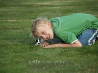 My pet dog 이미지 (93604153) - 게티이미지뱅크 My pet dog